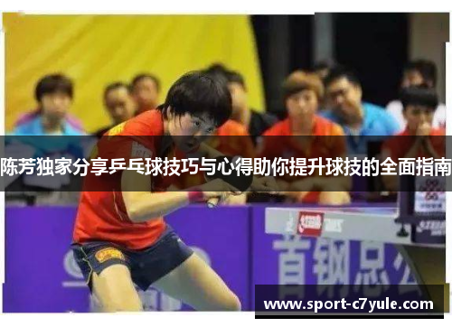 陈芳独家分享乒乓球技巧与心得助你提升球技的全面指南
